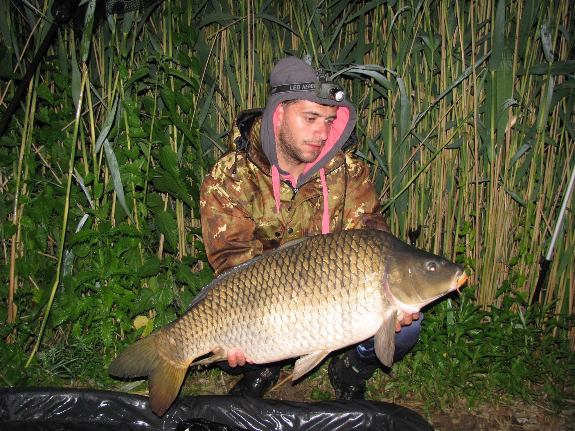 Poze Tancabesti-Dr. Bradu 1-3 iunie 2012 - img00741.jpg